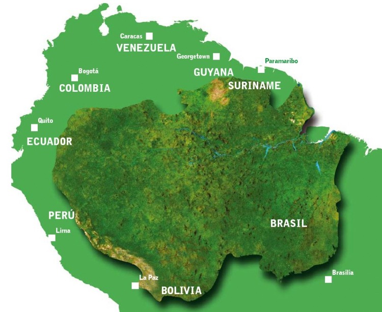 AMAZZONIA SUD AMERICA