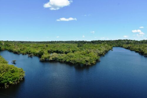 AMAZONAS