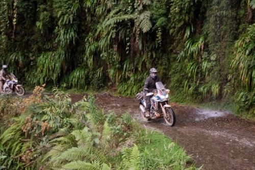 AMAZZONIA BOLIVIA 07