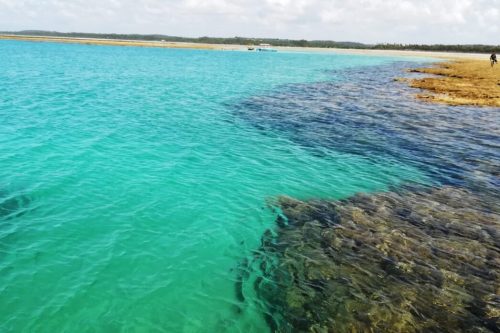 Costa dos Corais