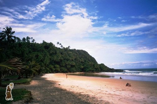 Bahia