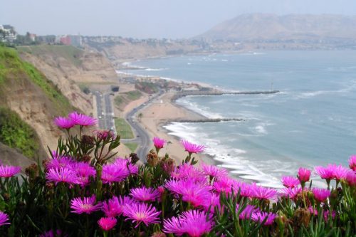 Lima 02