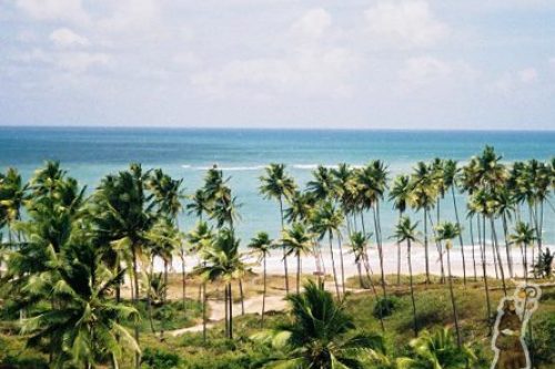 Porto de Galinhas